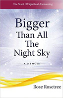 Cover of Bigger Than All the Night Sky  By Rose Rosetree 
